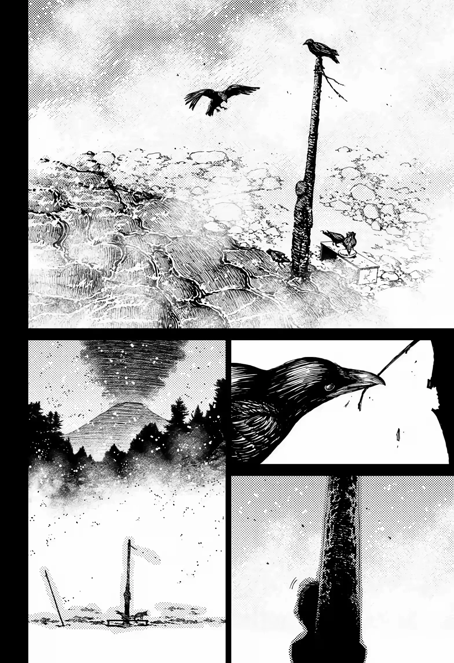 Página 14 do Capítulo 39