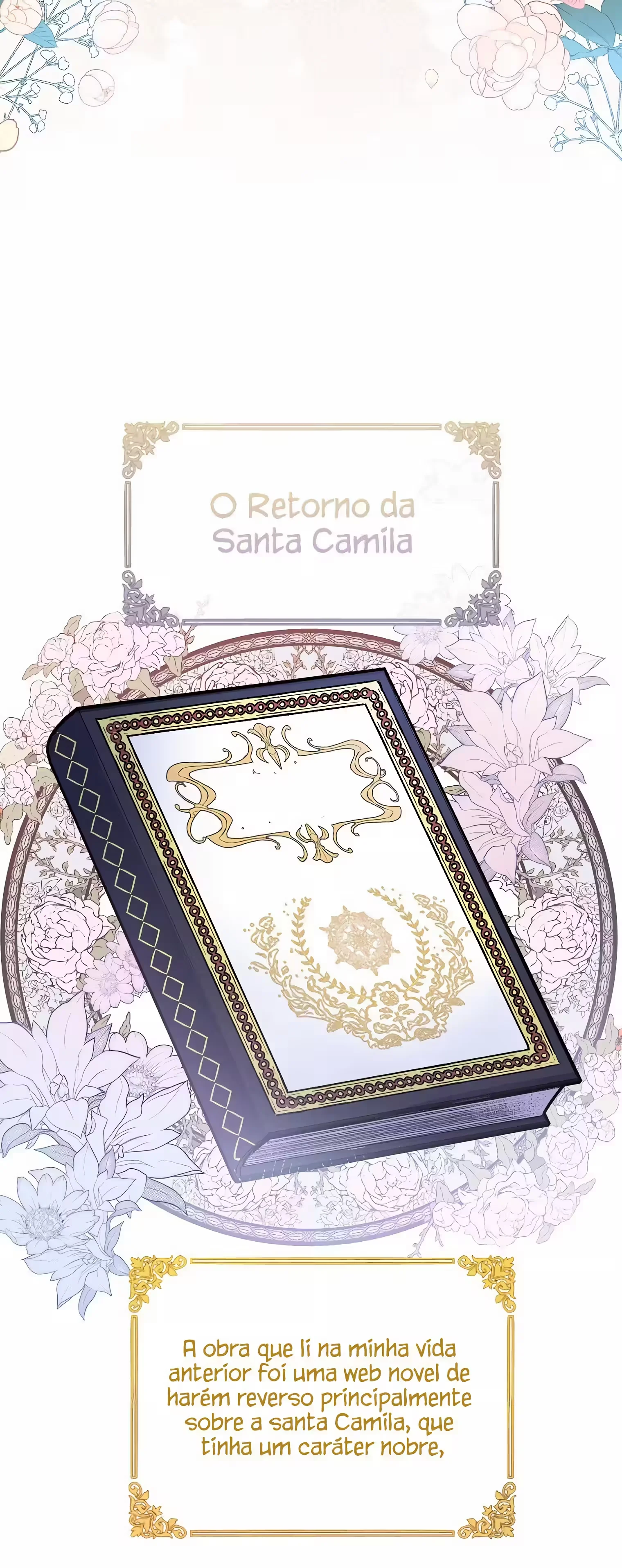 Página 13 do Capítulo 1