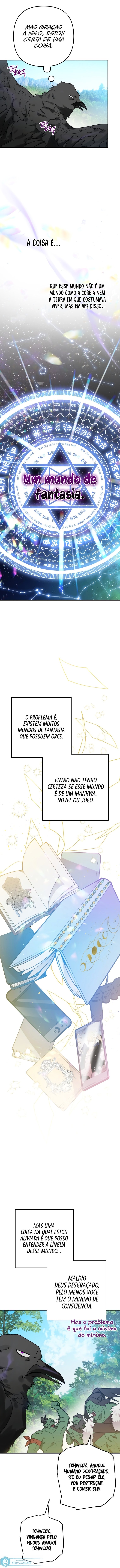 Página 11 do Capítulo 1