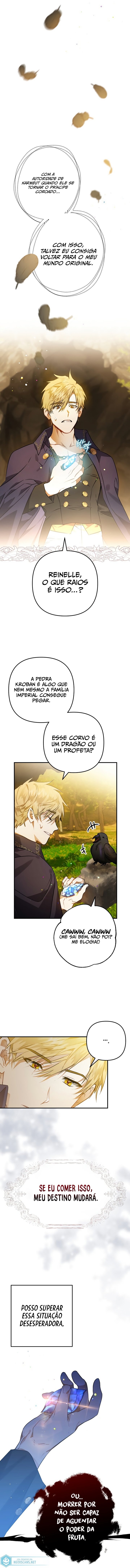 Página 11 do Capítulo 3