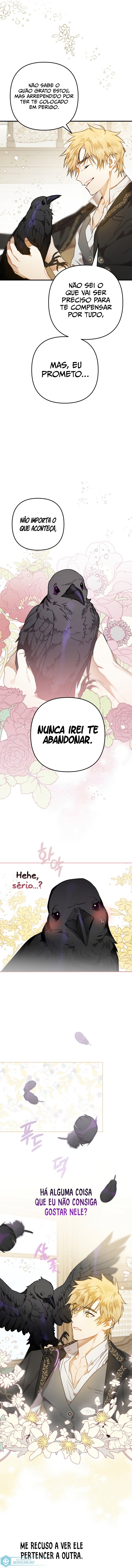Página 11 do Capítulo 4