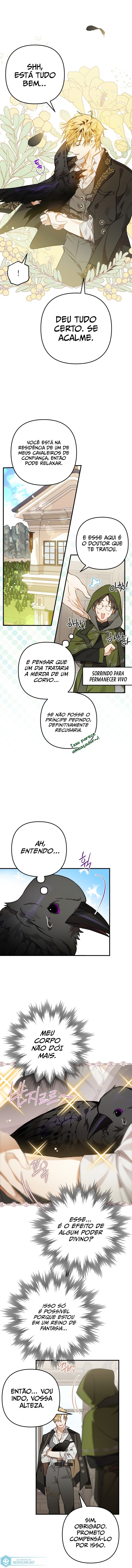 Página 7 do Capítulo 4
