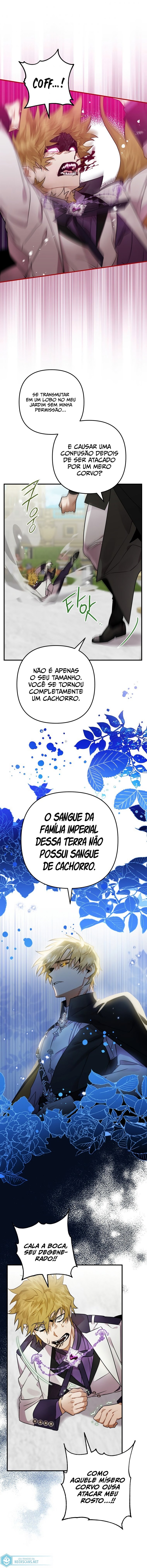 Página 12 do Capítulo 8