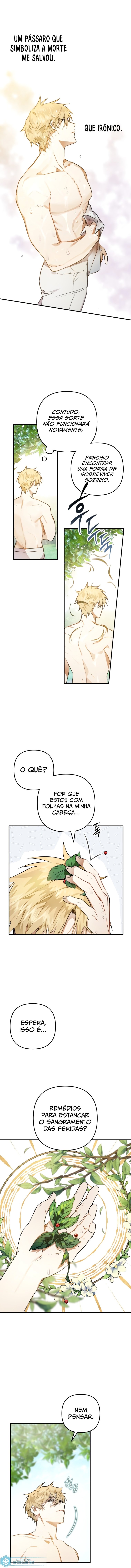 Página 10 do Capítulo 2