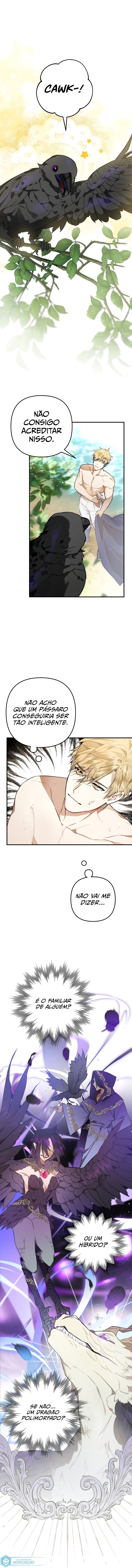 Página 11 do Capítulo 2