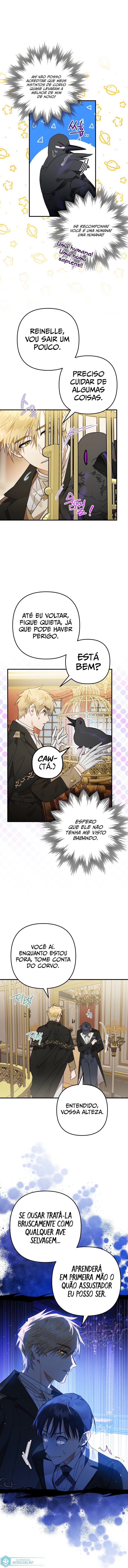 Página 8 do Capítulo 6
