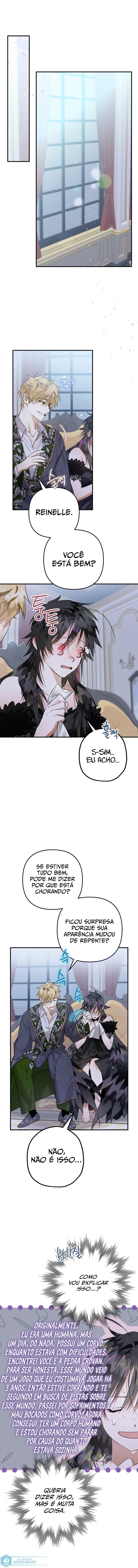 Página 8 do Capítulo 12