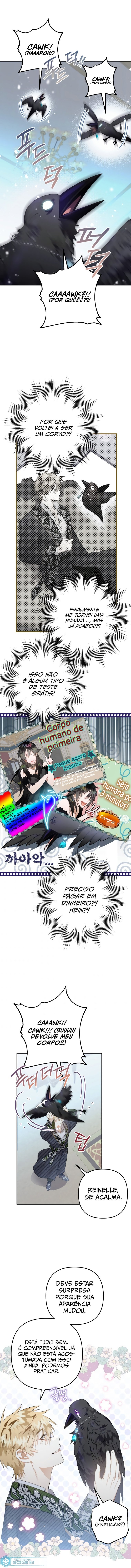 Página 2 do Capítulo 13