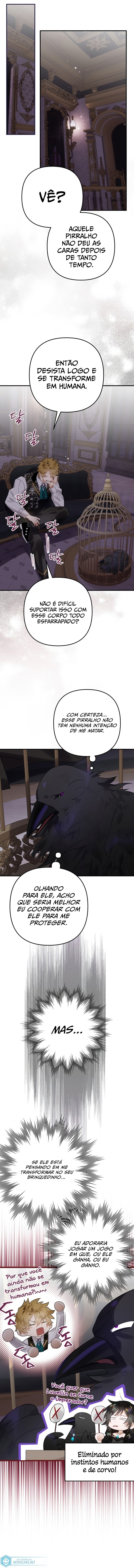 Página 12 do Capítulo 18