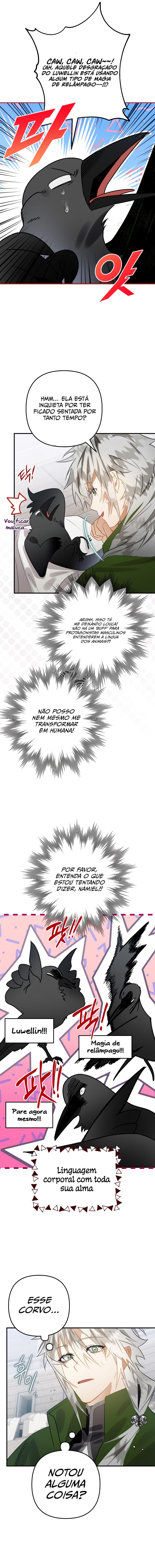 Página 11 do Capítulo 27