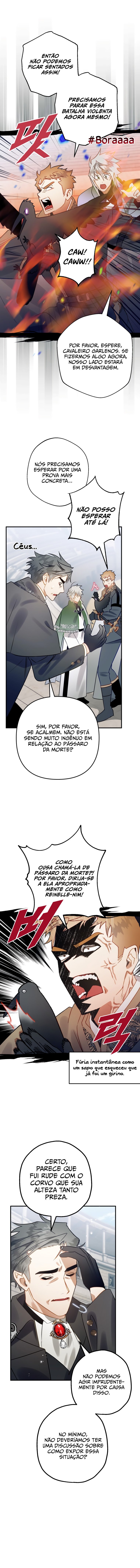 Página 13 do Capítulo 27