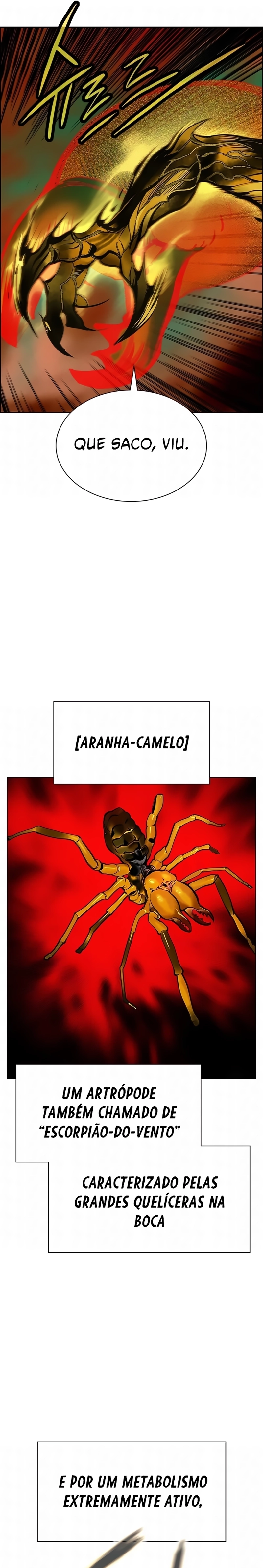 Página 8 do Capítulo 207