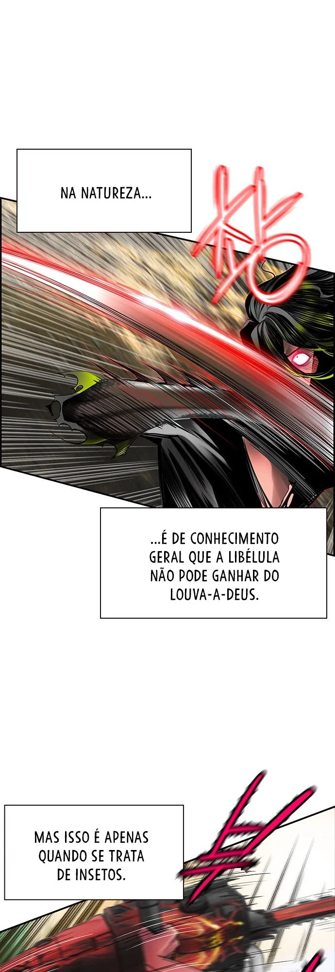 Página 2 do Capítulo 11