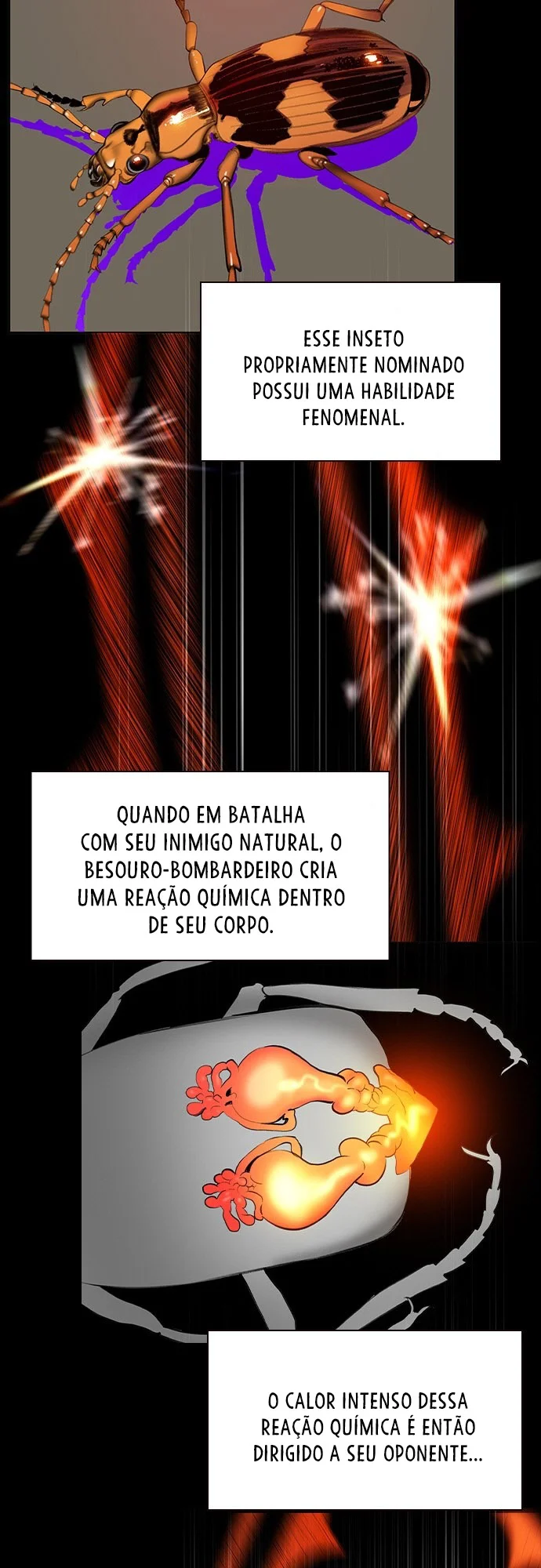 Página 37 do Capítulo 11