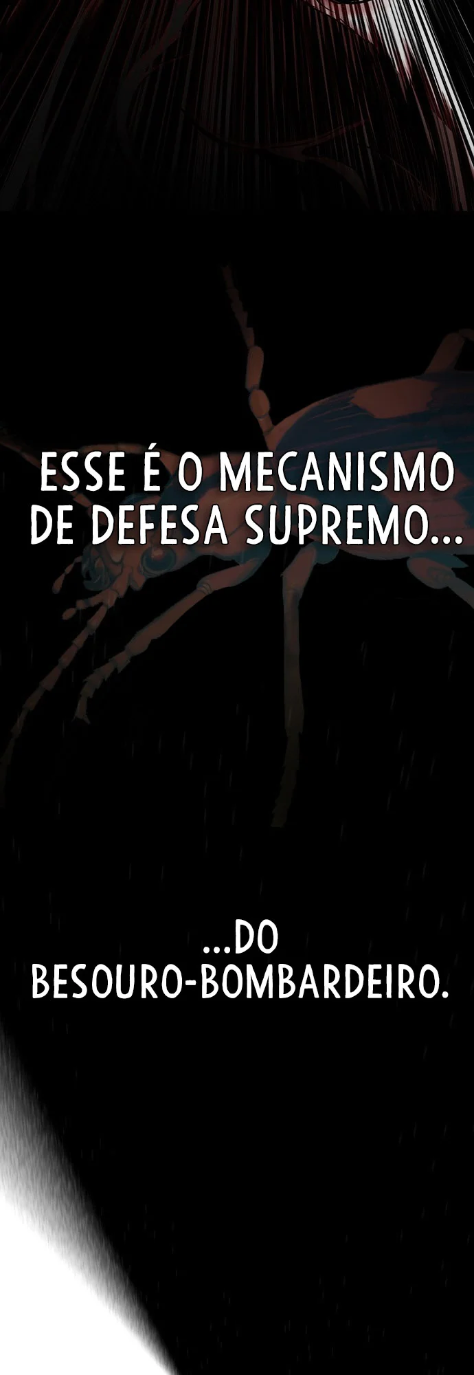 Página 40 do Capítulo 11