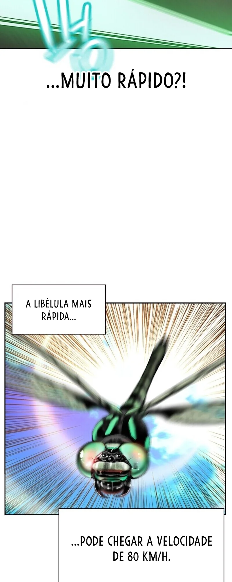 Página 71 do Capítulo 23