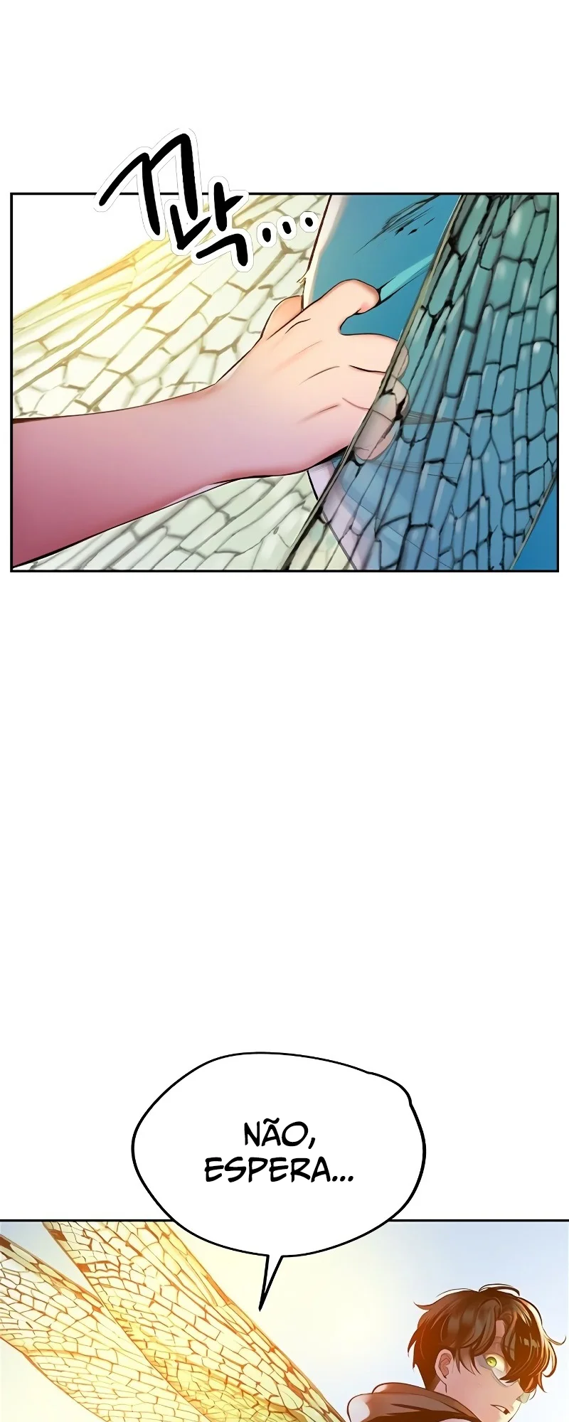 Página 15 do Capítulo 24