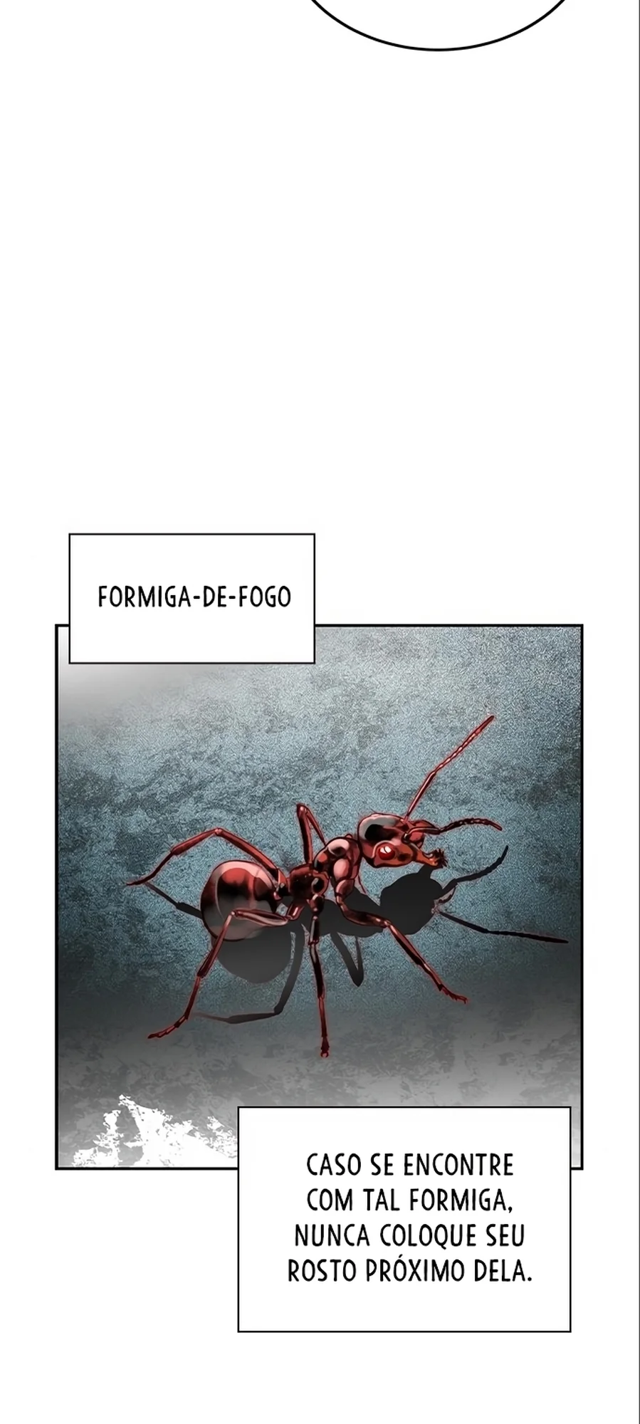 Página 31 do Capítulo 34