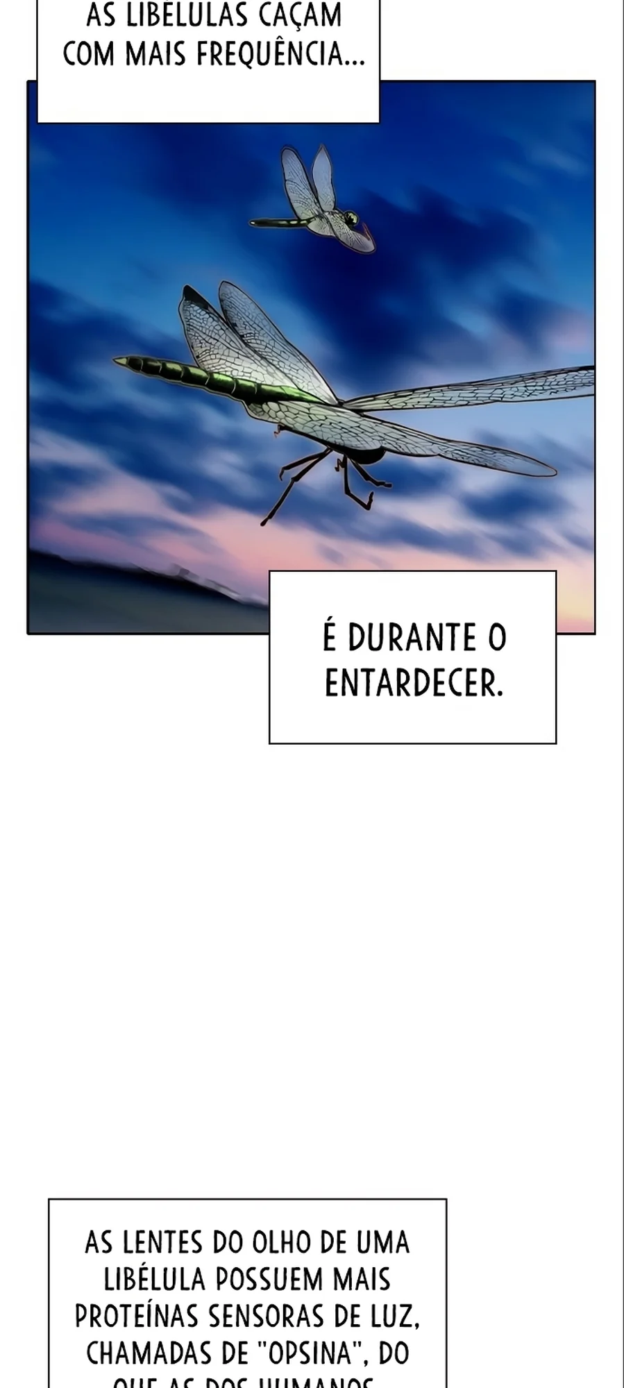 Página 77 do Capítulo 34