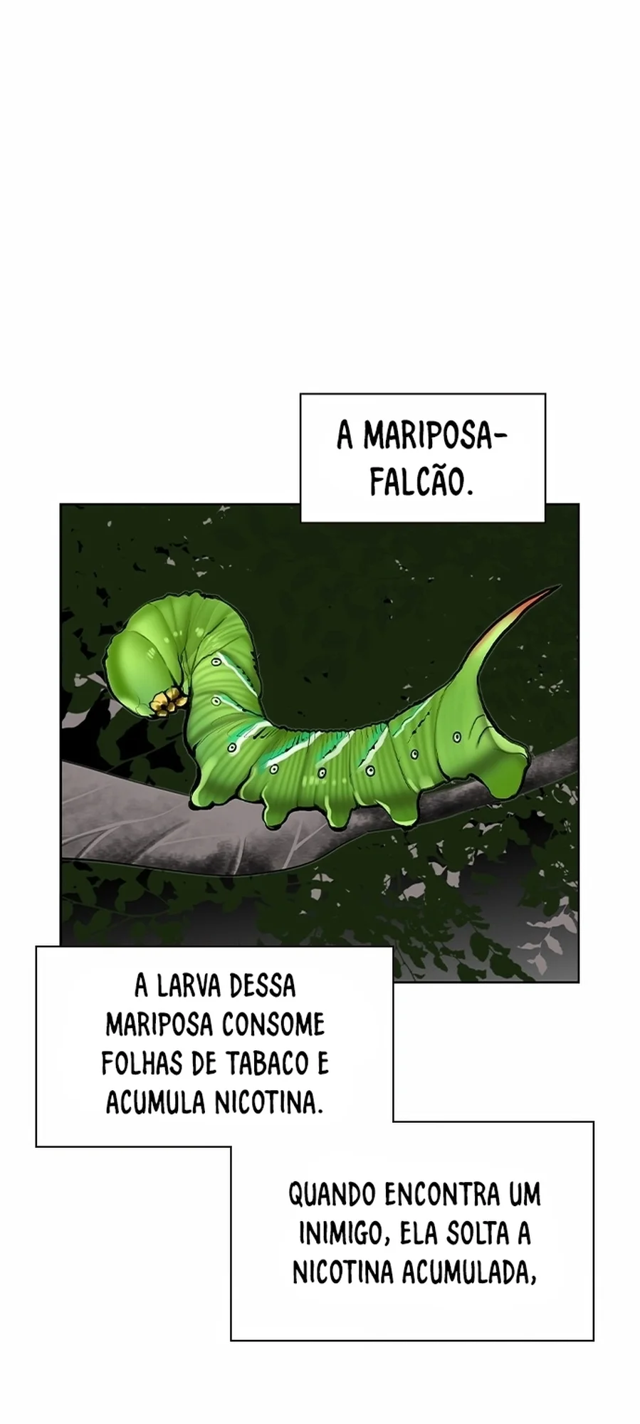 Página 17 do Capítulo 41