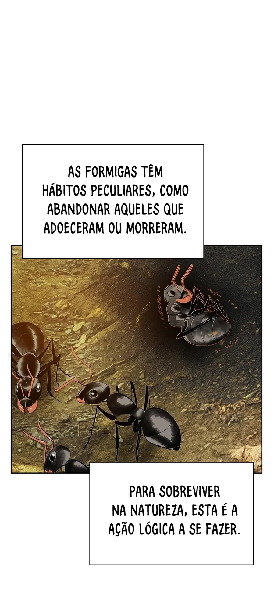 Página 36 do Capítulo 46