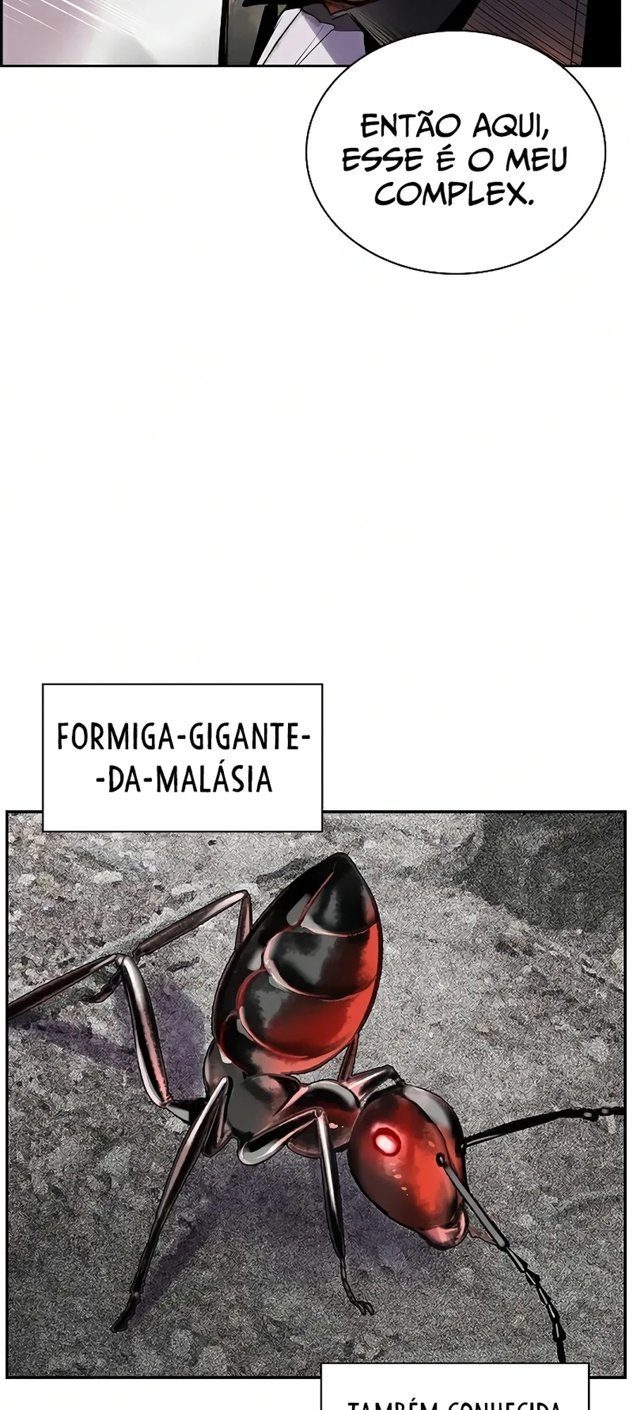 Página 17 do Capítulo 56