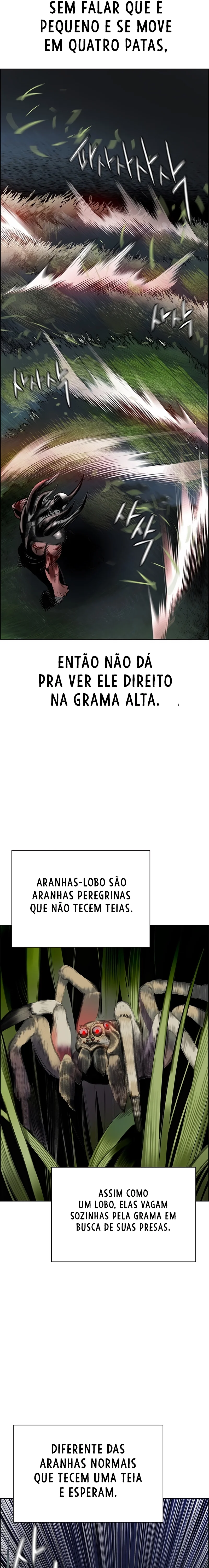 Página 24 do Capítulo 95