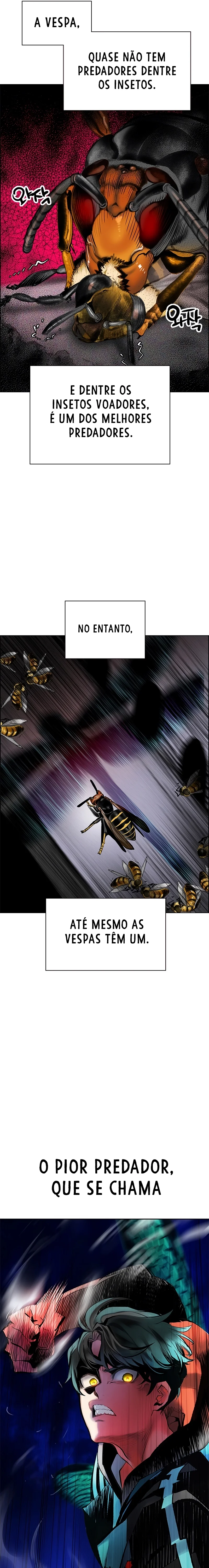 Página 43 do Capítulo 95