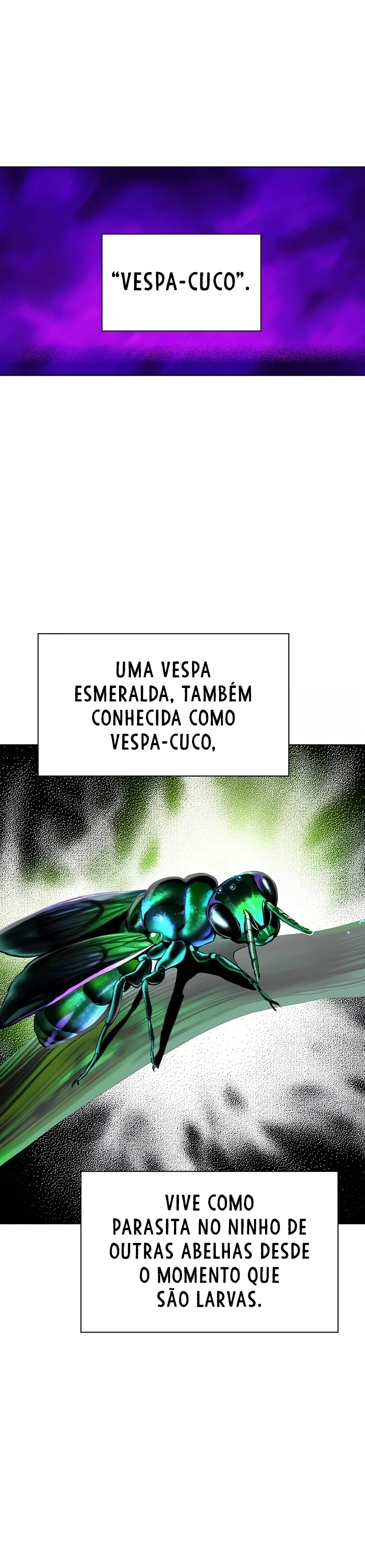 Página 26 do Capítulo 123