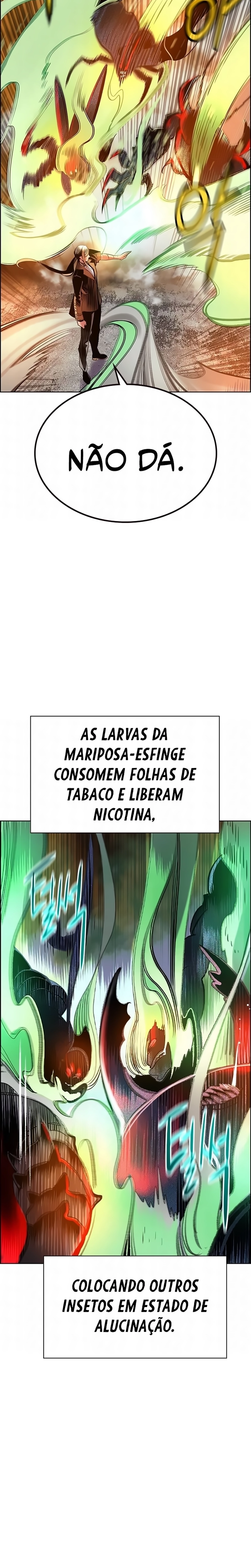Página 13 do Capítulo 204