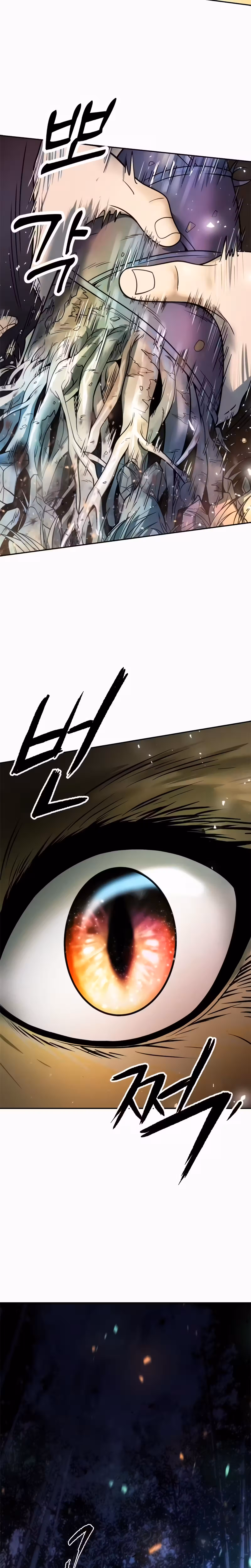 Página 12 do Capítulo 17