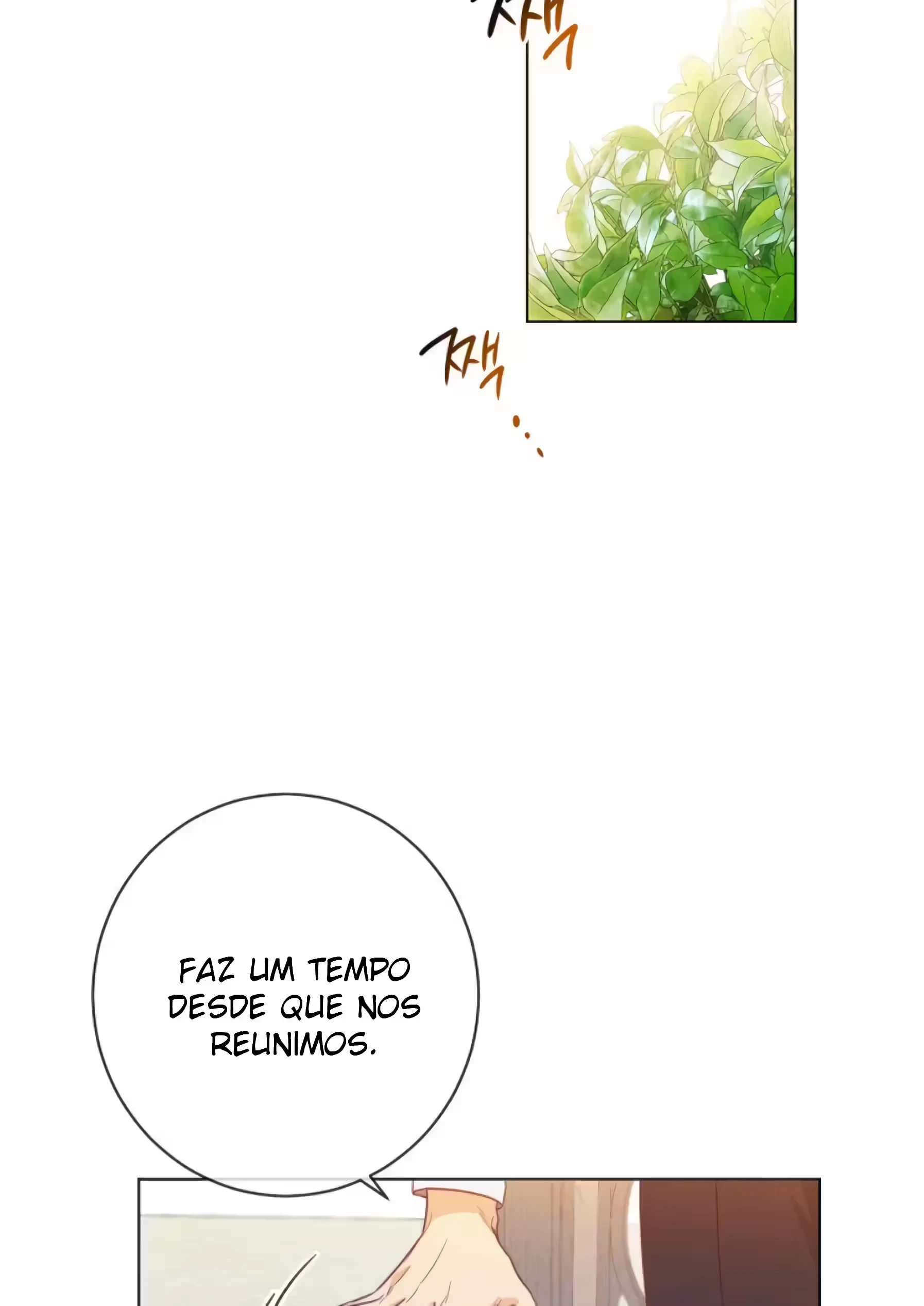 Página 21 do Capítulo 2