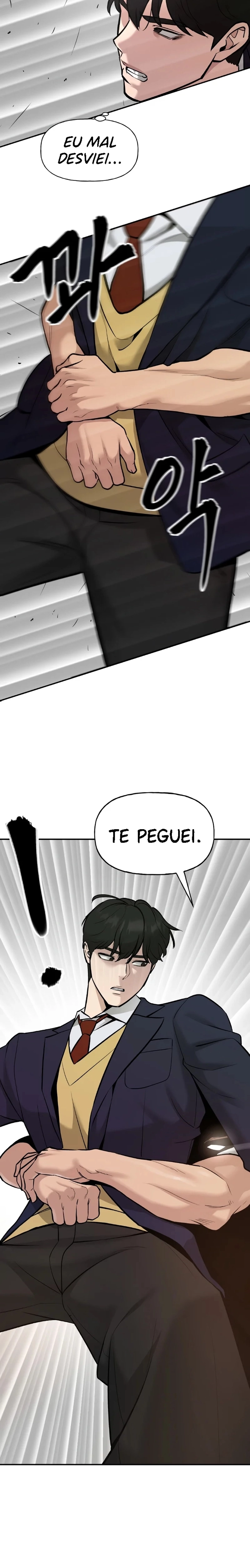 Página 29 do Capítulo 17