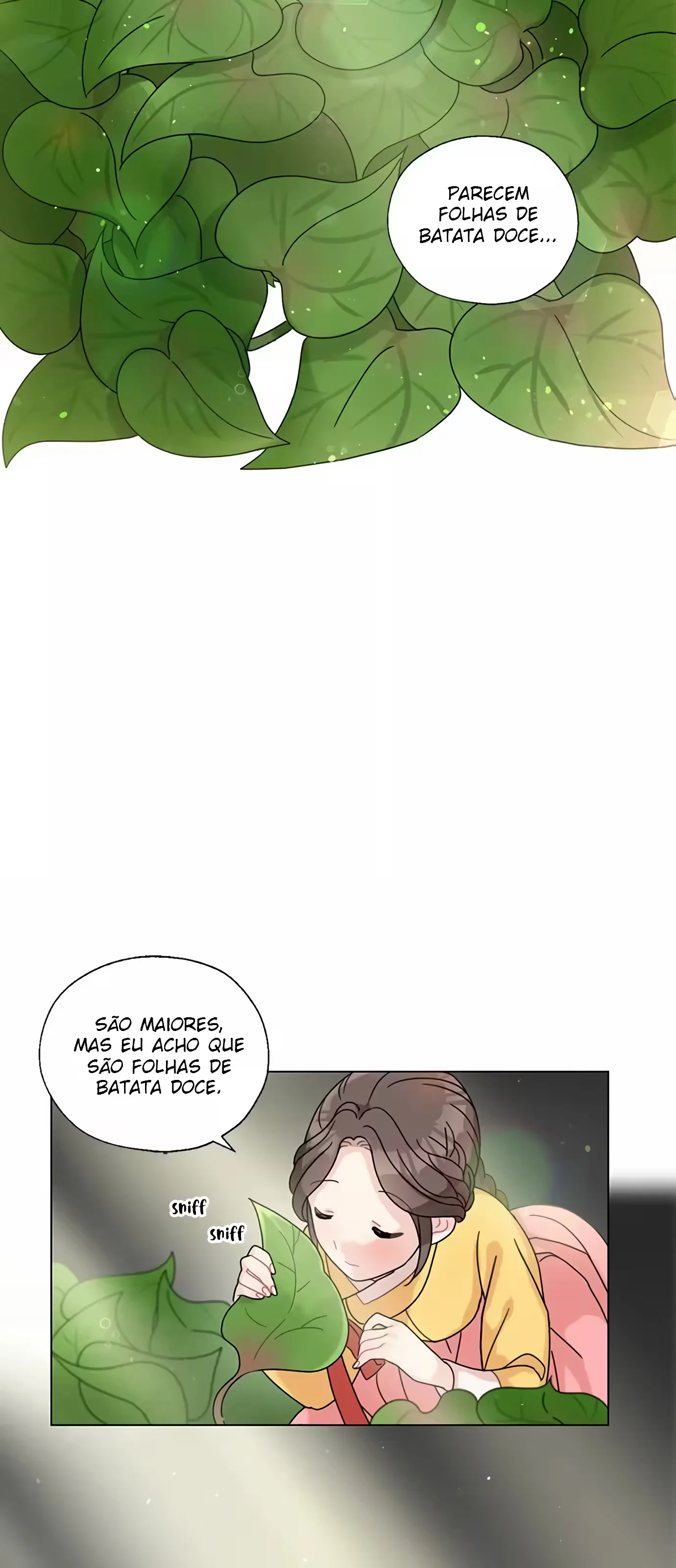 Página 20 do Capítulo 2