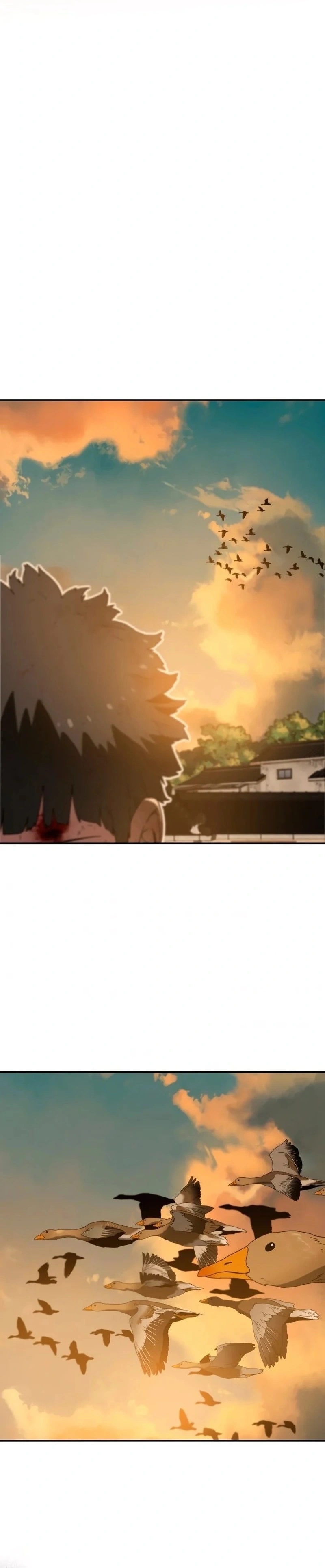 Página 22 do Capítulo 6