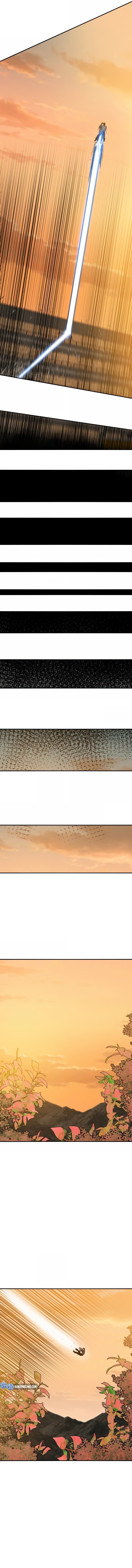 Página 4 do Capítulo 22
