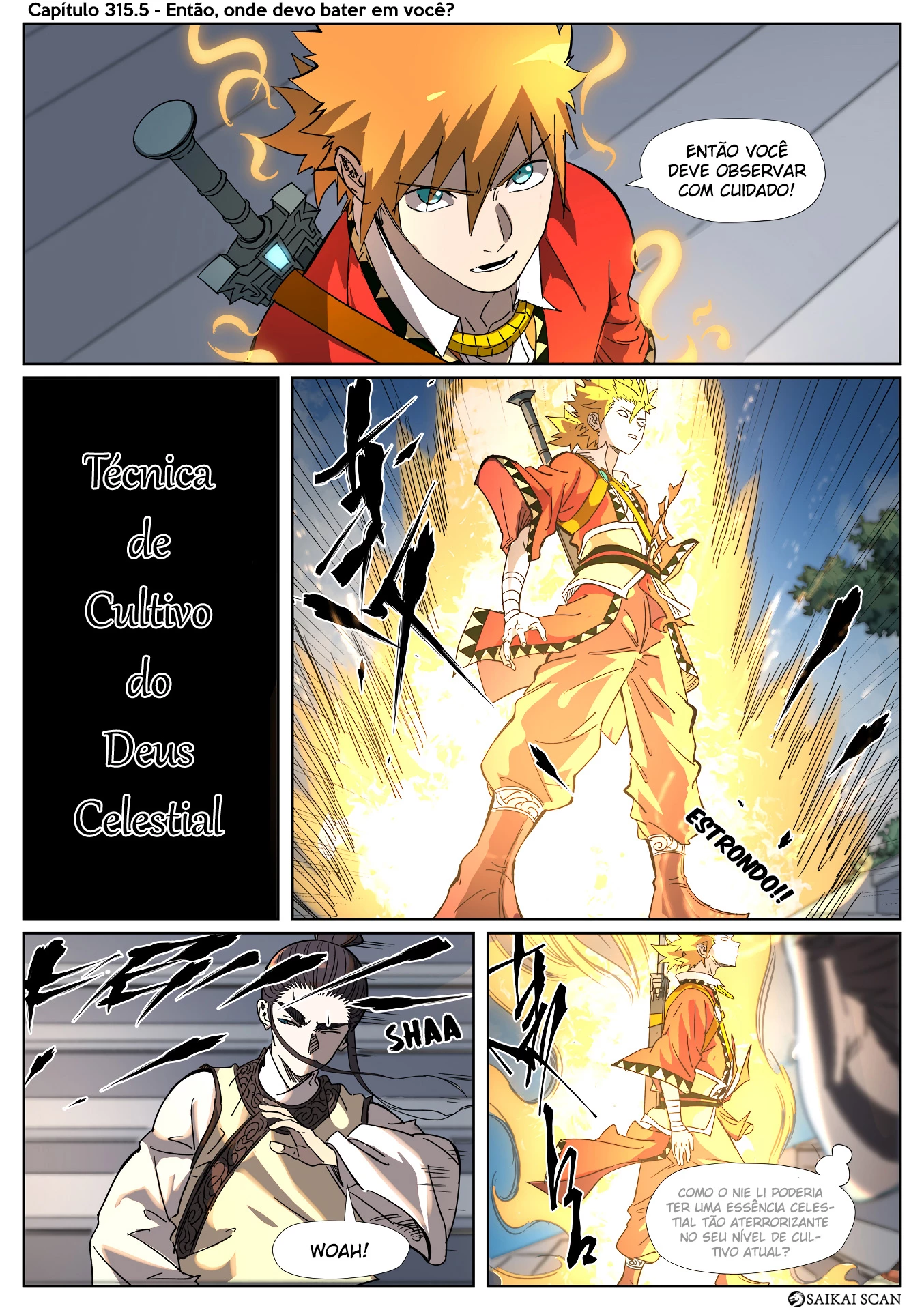Página 2 do Capítulo 315.5
