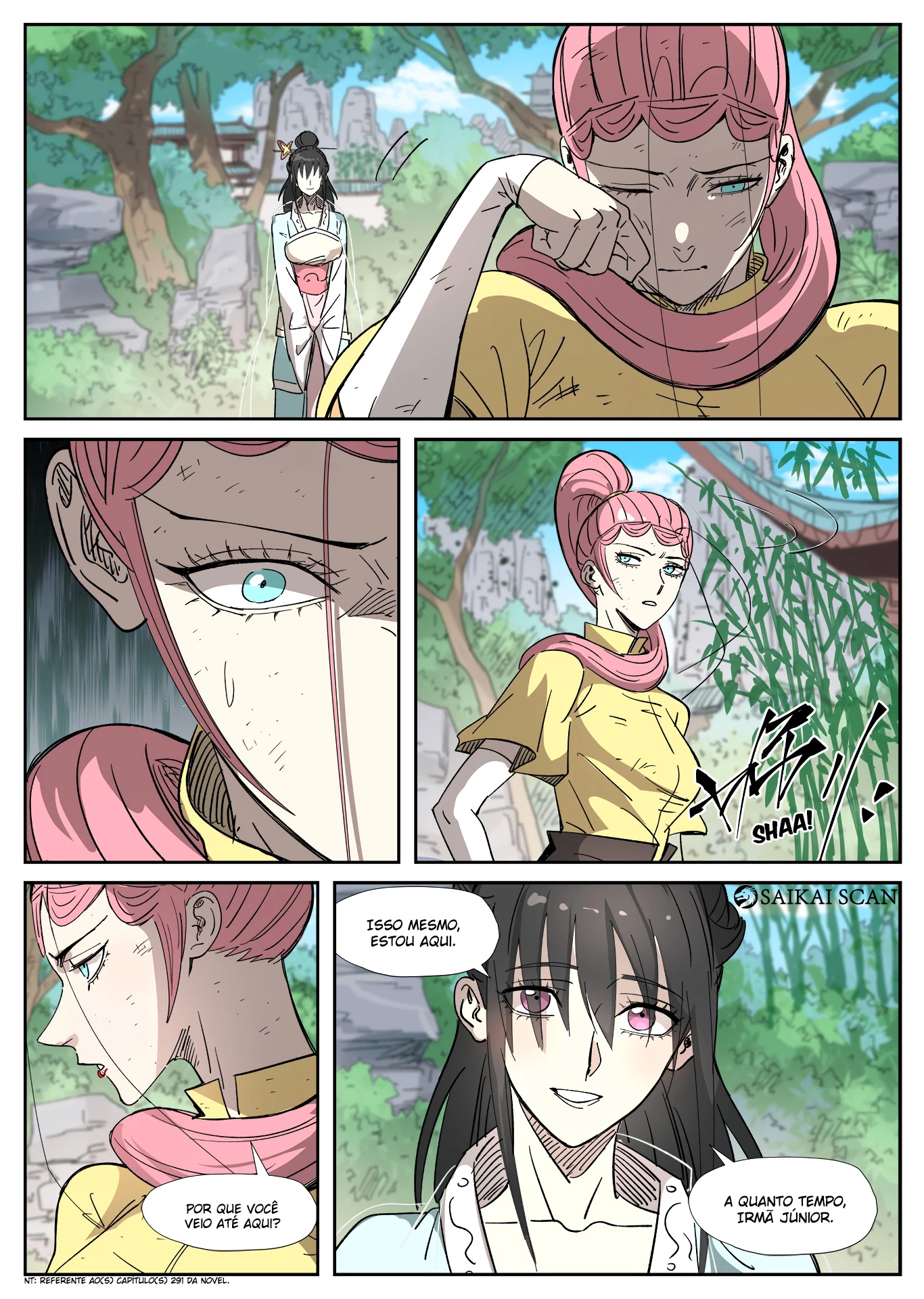 Página 11 do Capítulo 323.5