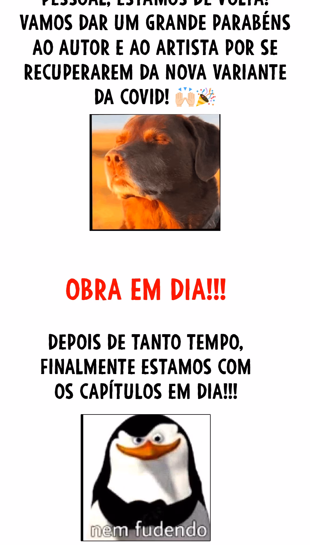 Página 13 do Capítulo 163