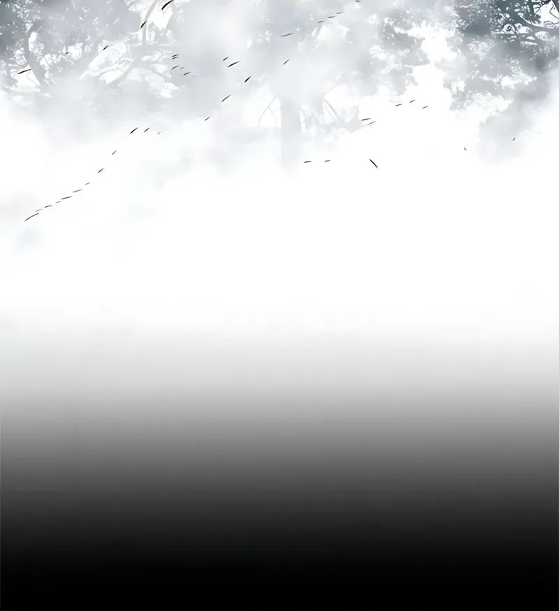Página 13 do Capítulo 315