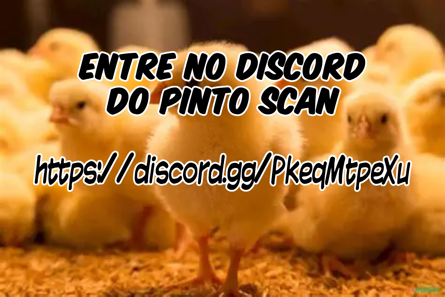 Página 21 do Capítulo 20