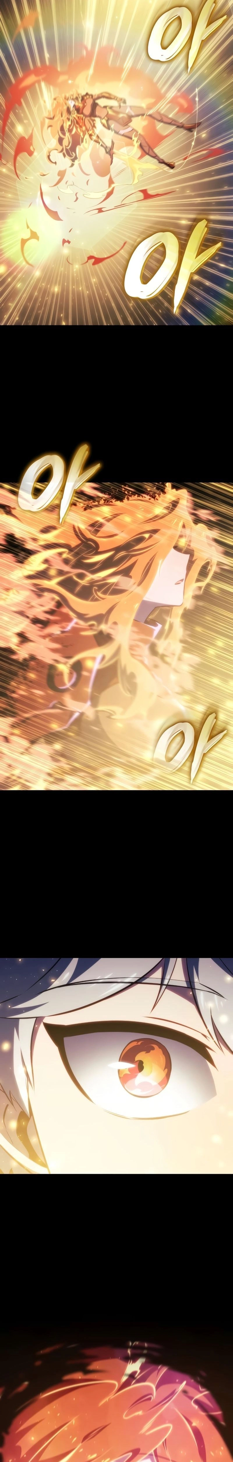 Página 13 do Capítulo 75