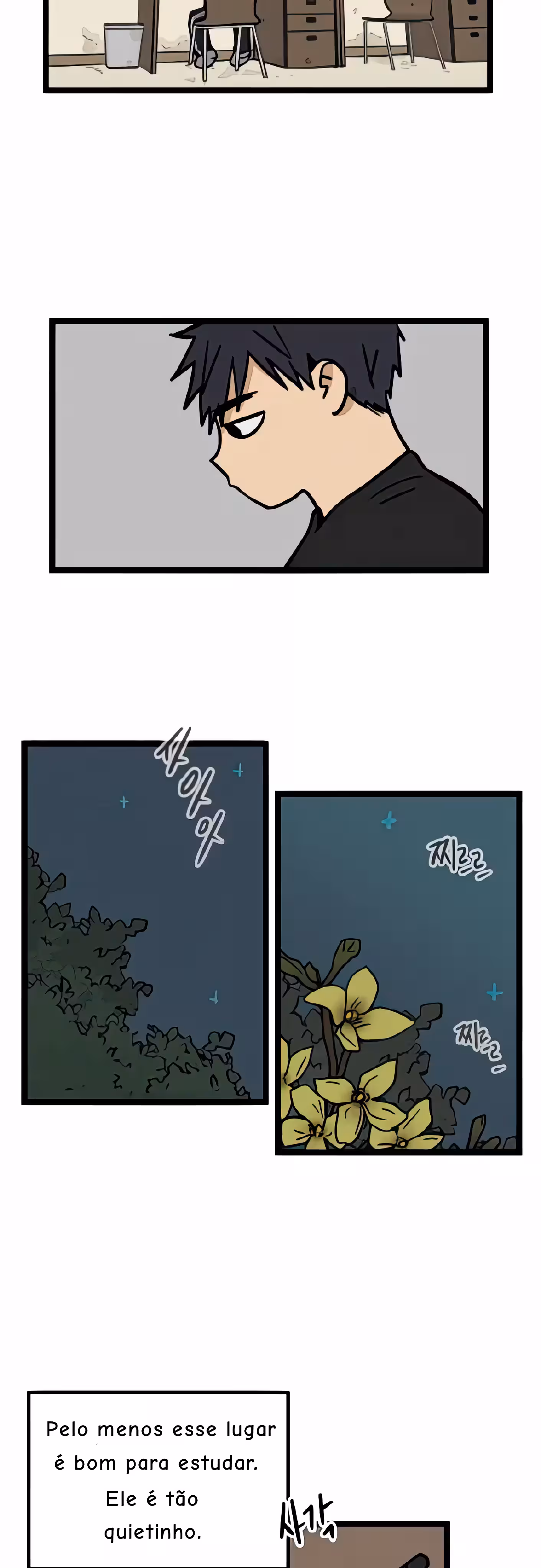 Página 14 do Capítulo 11