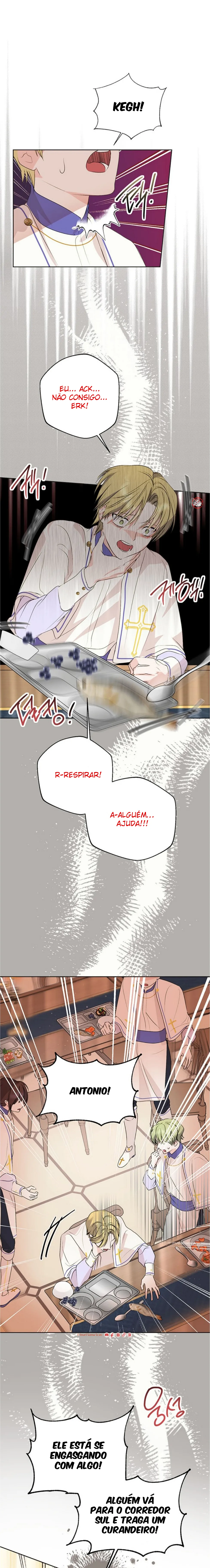 Página 15 do Capítulo 8