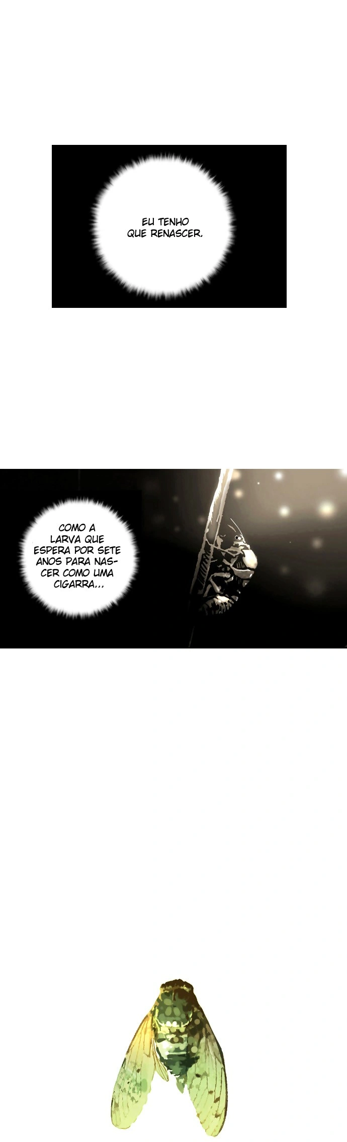Página 30 do Capítulo 2