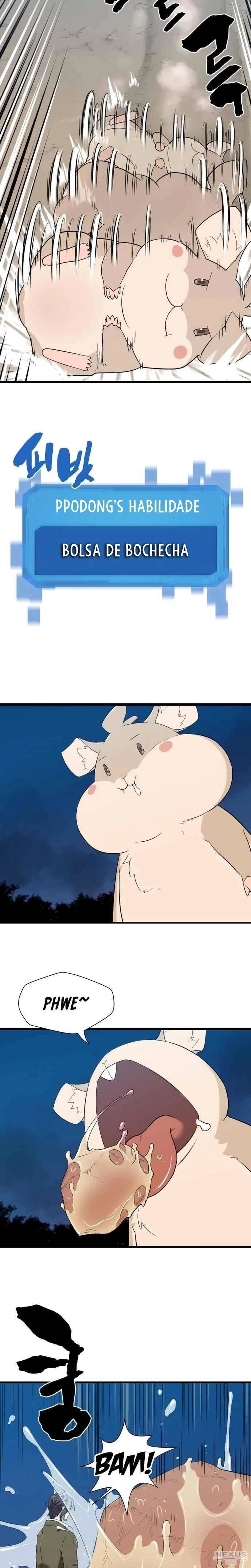 Página 13 do Capítulo 4