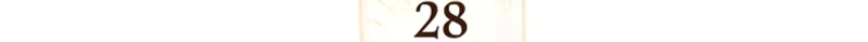 Página 12 do Capítulo 28