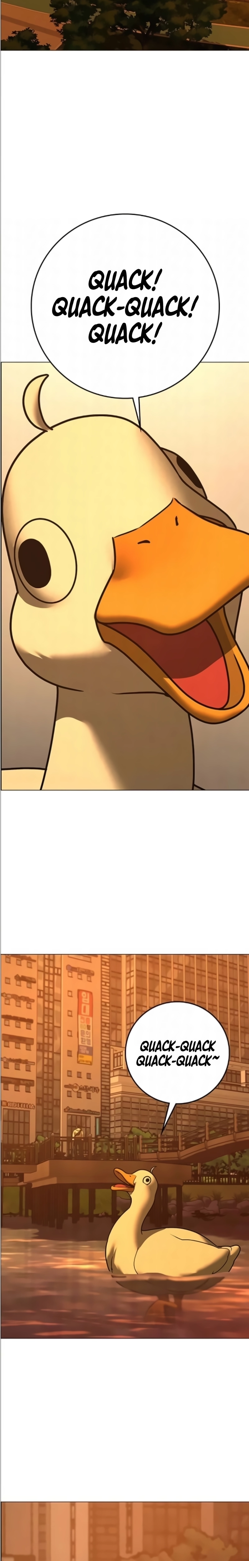 Página 13 do Capítulo 195