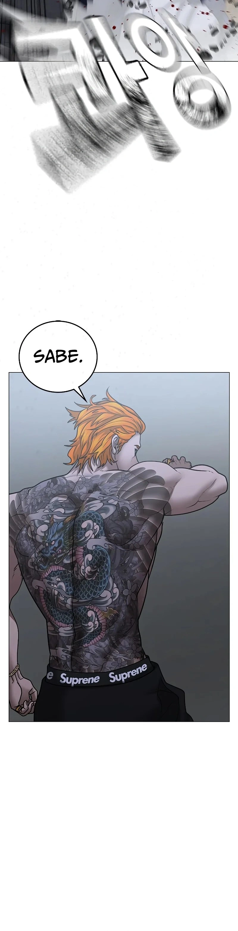 Página 22 do Capítulo 63