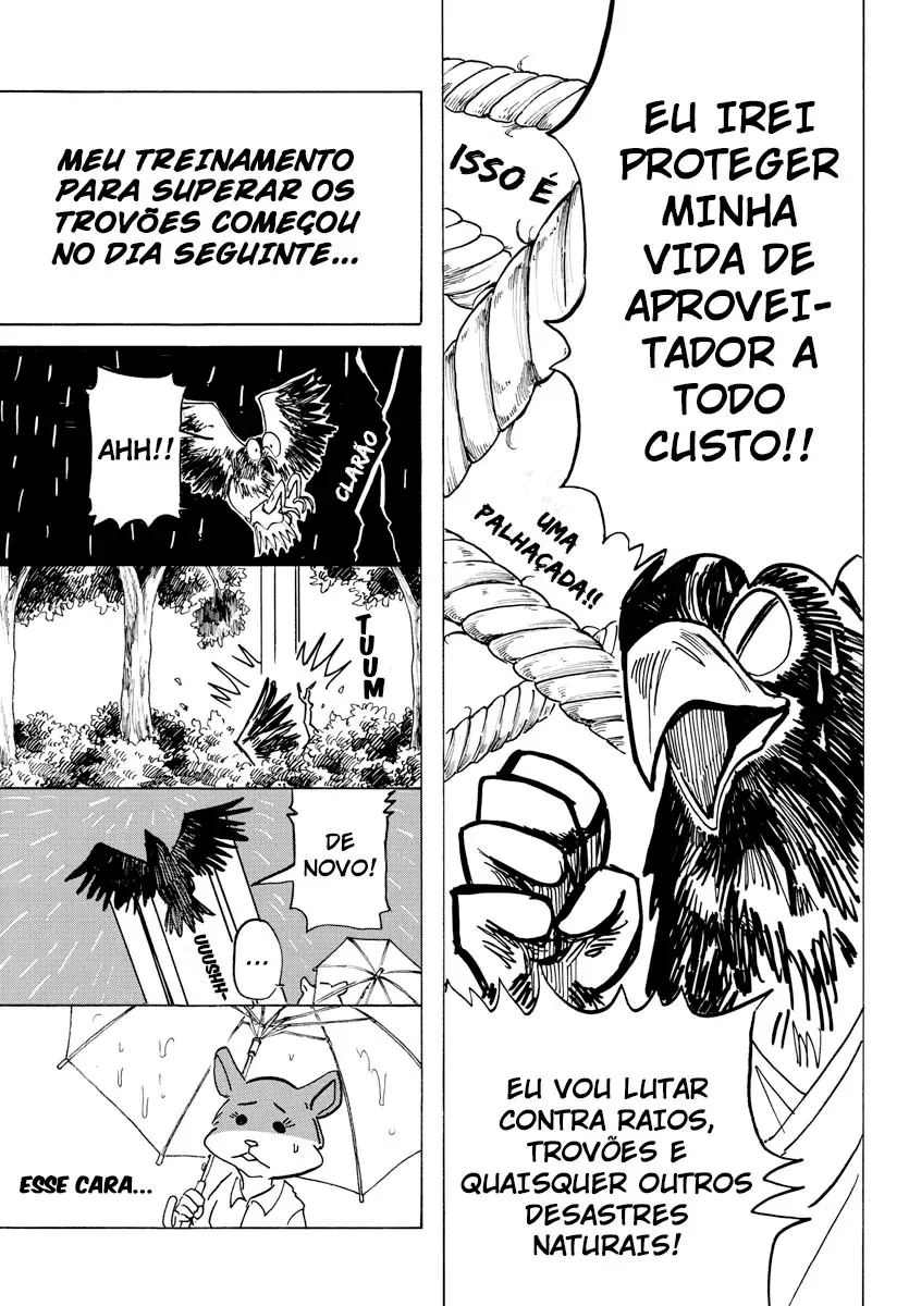 Página 11 do Capítulo 11